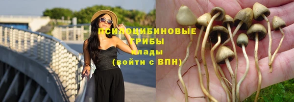 каннабис Алзамай