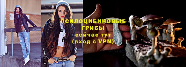 дурь Алексин