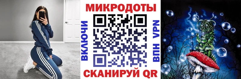 Псилоцибиновые грибы Psilocybine cubensis  kraken ССЫЛКА  Бологое 