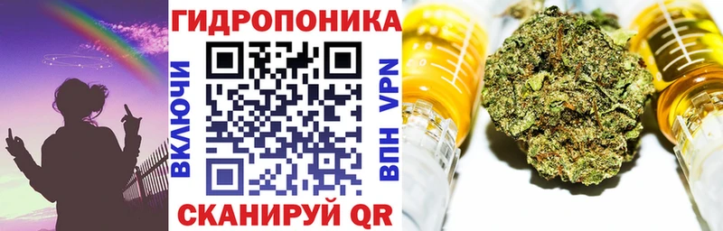 Марихуана план  блэк спрут ONION  Бологое 